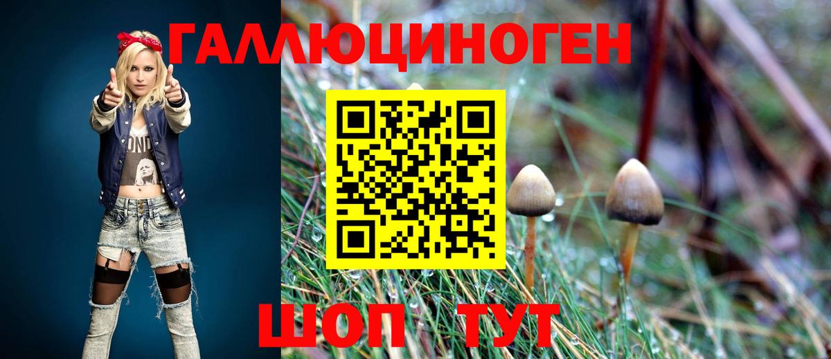 Псилоцибиновые грибы ЛСД Костомукша