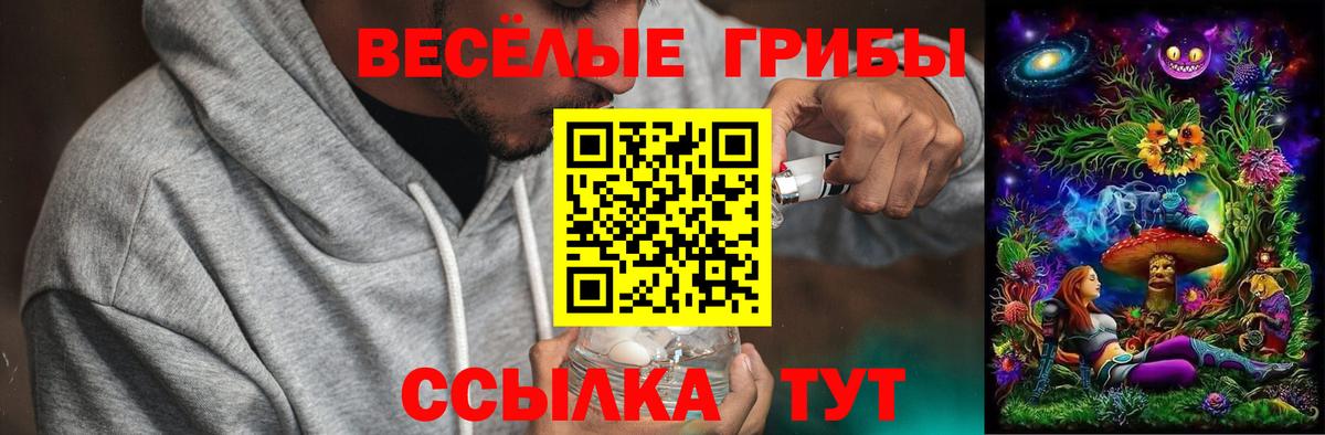 Костомукша  Псилоцибиновые грибы Cubensis  Вход с VPN  Галлюциногенные грибы мицелий 